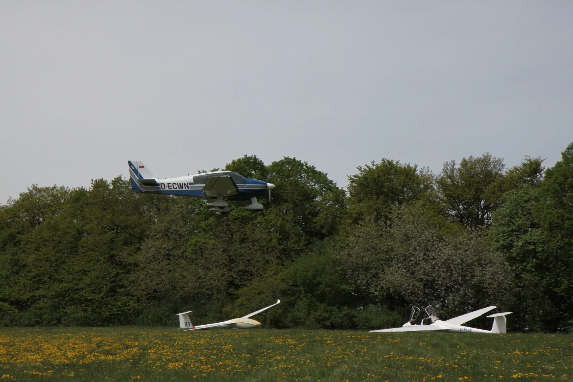 Segelflugzeuge und Schleppflugzeug beim Start am Bohlhof